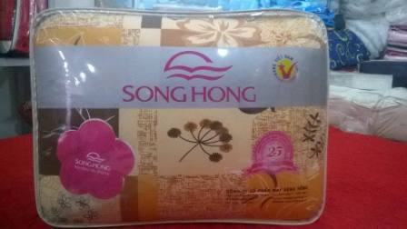 ĐỆM SÔNG HỒNG