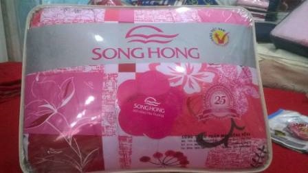 ĐỆM SÔNG HỒNG