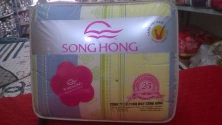 ĐỆM SÔNG HỒNG