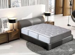 Đệm cao cấp Sông Hồng Back Essential (nguyên tấm)