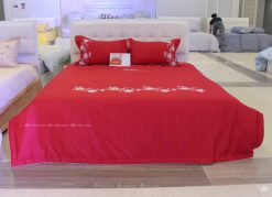 Chăn ga gối sông hồng cao cấp Urban UC23038