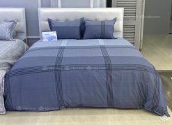 Chăn đông Sông Hồng Basic cotton BC23071
