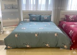 Ga gối Sông Hồng basic TC BT23077