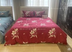 Vỏ chăn xuân thu Sông Hồng basic TC BT23078