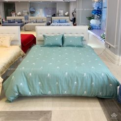 Chăn ga gối Sông Hồng Basic cotton BC24104